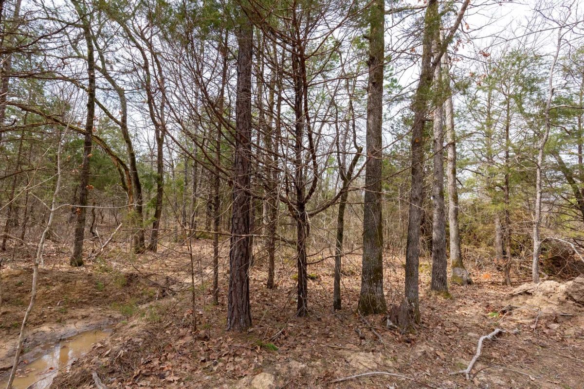 Decorative background for Stone Bridge Phase III Tract 150 image 9