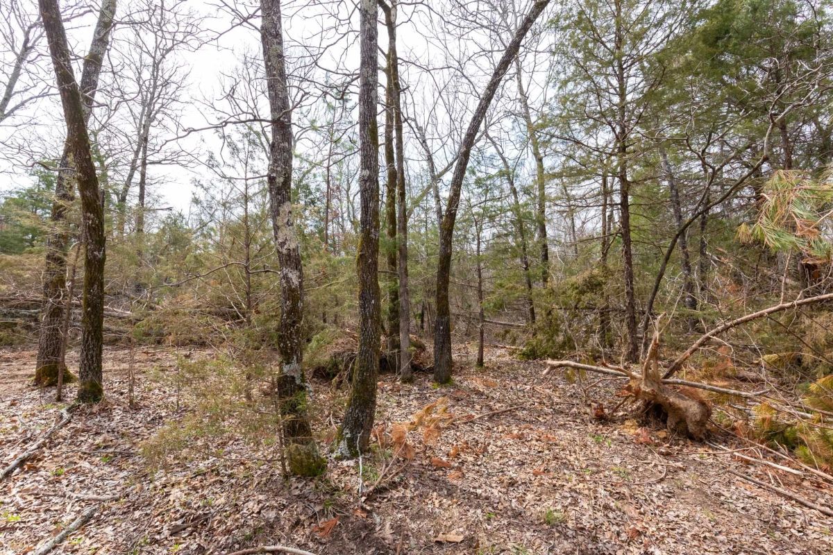 Decorative background for Stone Bridge Phase III Tract 150 image 10