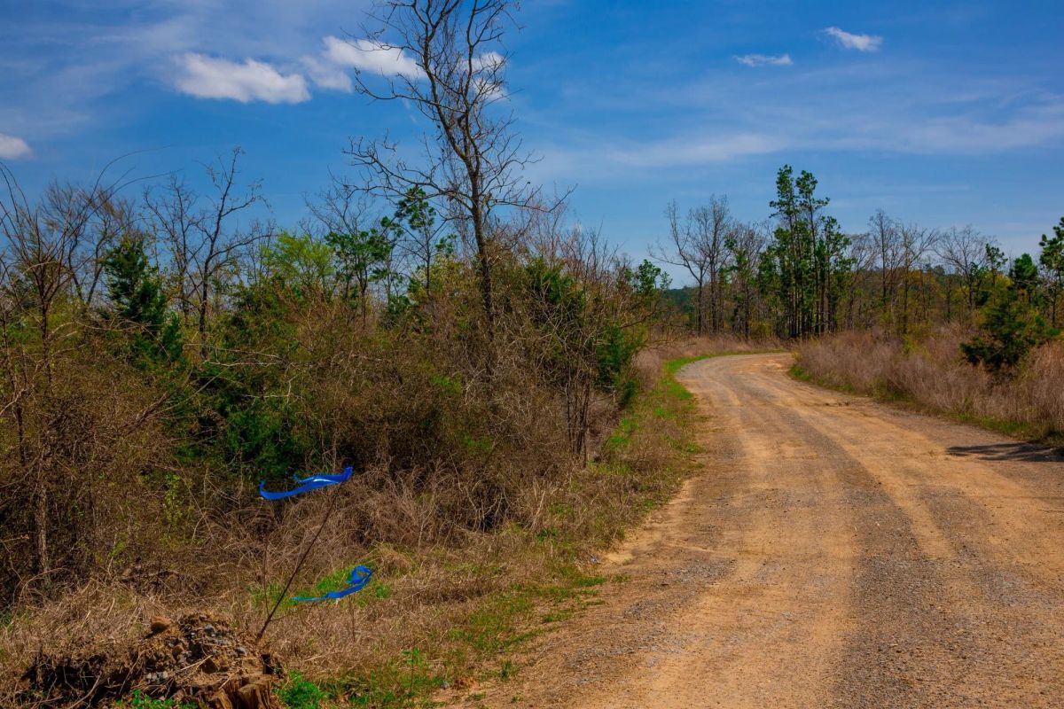 Stone Creek Phase II Tract 234 - Main image