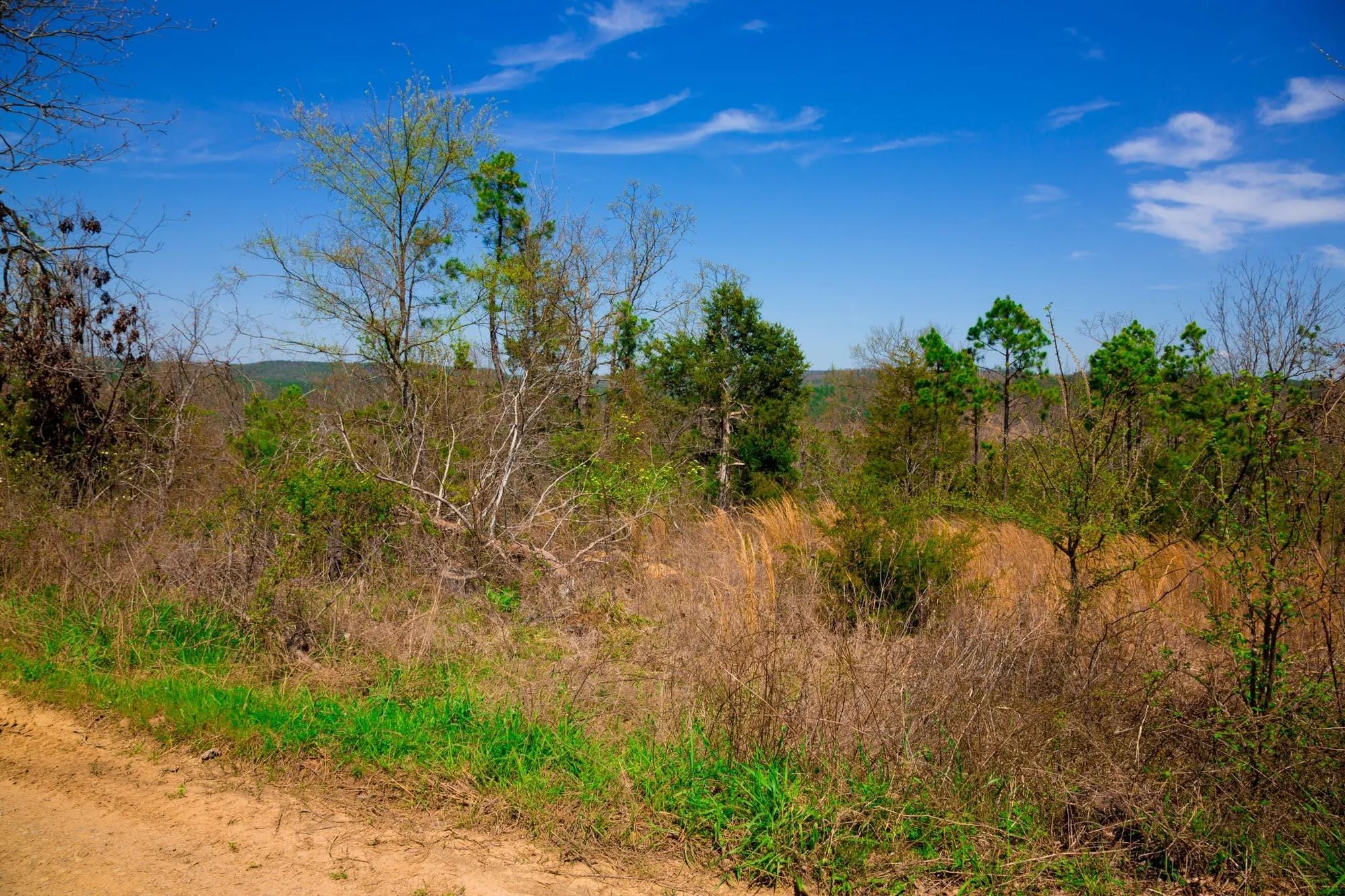 Stone Creek Phase II Tract 234 in Latimer County, OK