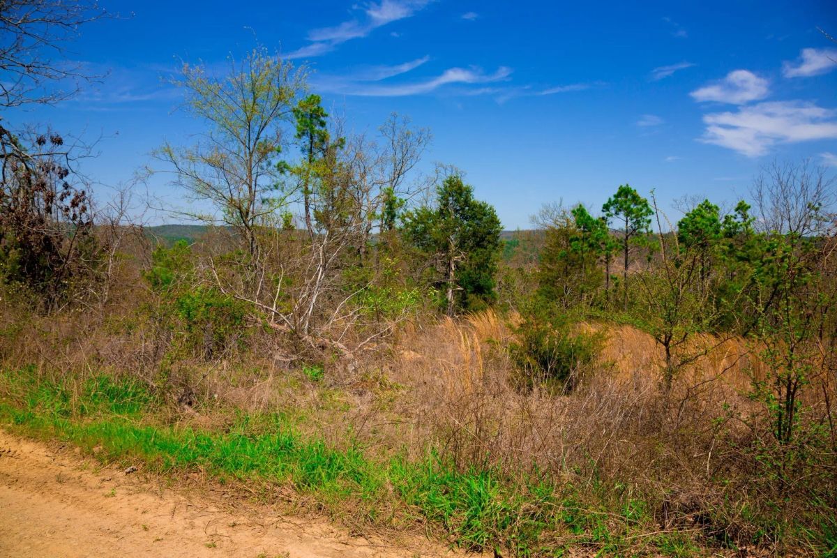 Stone Creek Phase II Tract 234 - Image 2