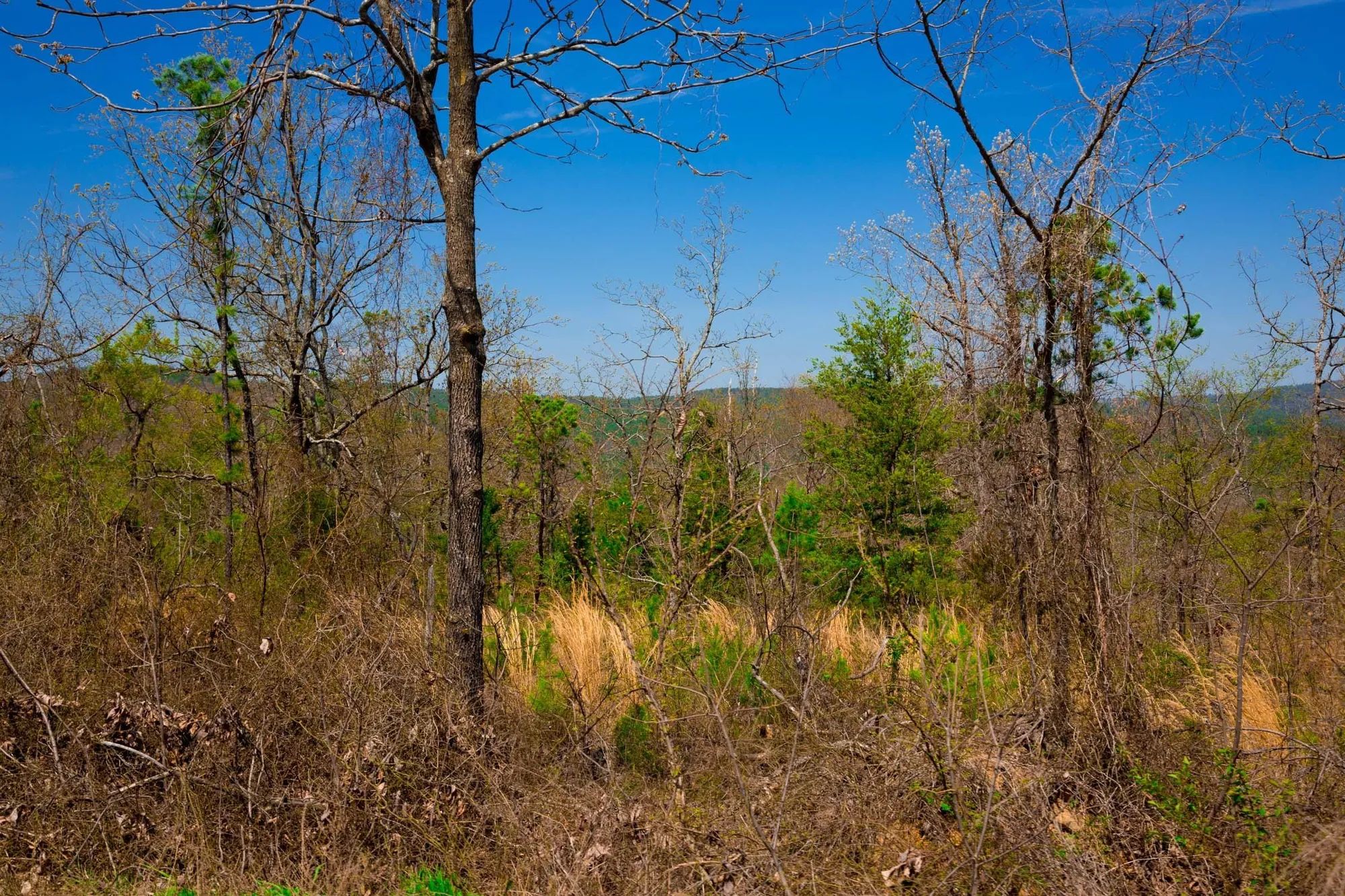 Stone Creek Phase II Tract 234 in Latimer County, OK