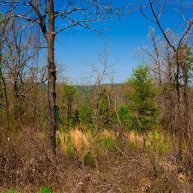 Stone Creek Phase II Tract 234 in Latimer County, OK