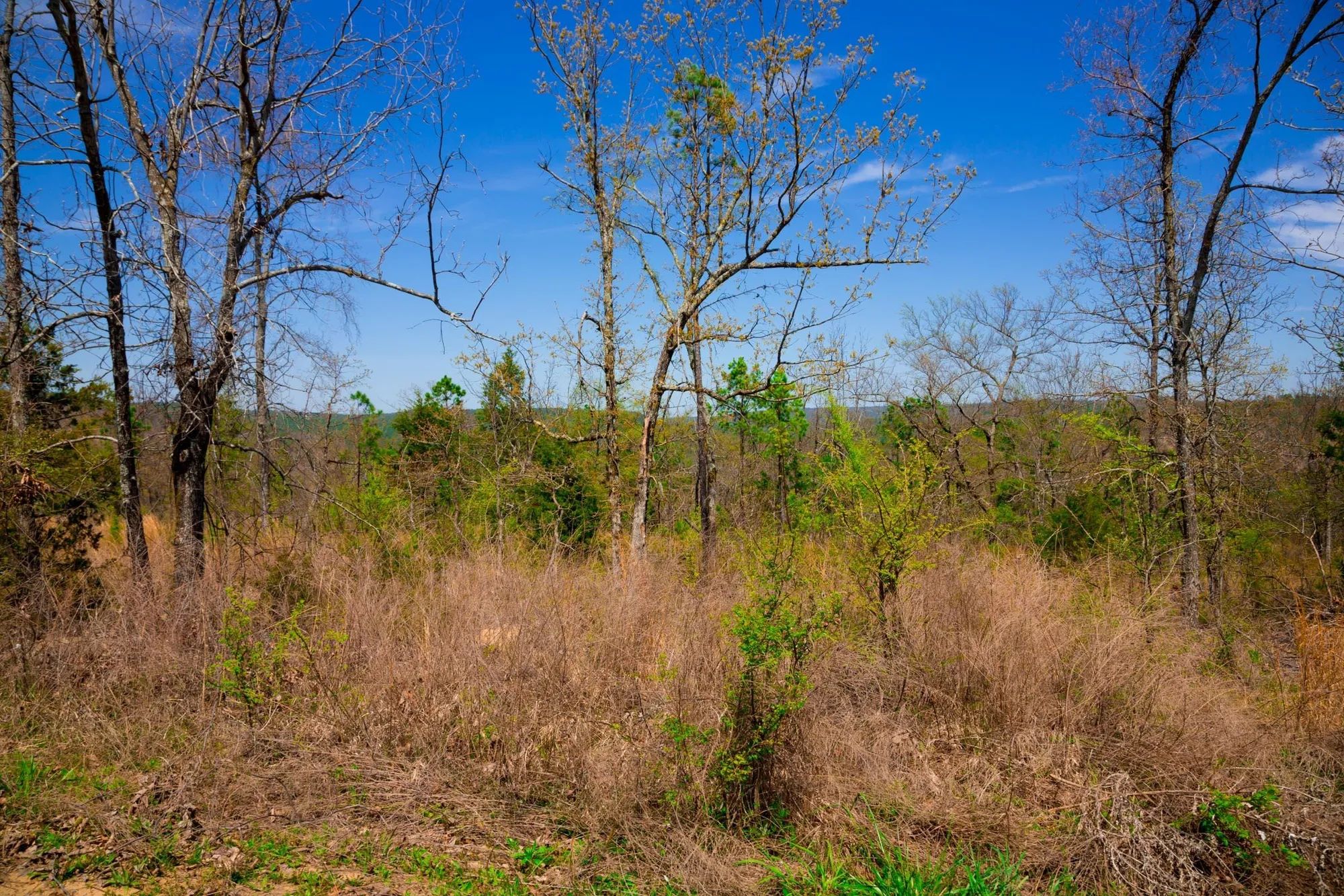 Stone Creek Phase II Tract 234 in Latimer County, OK