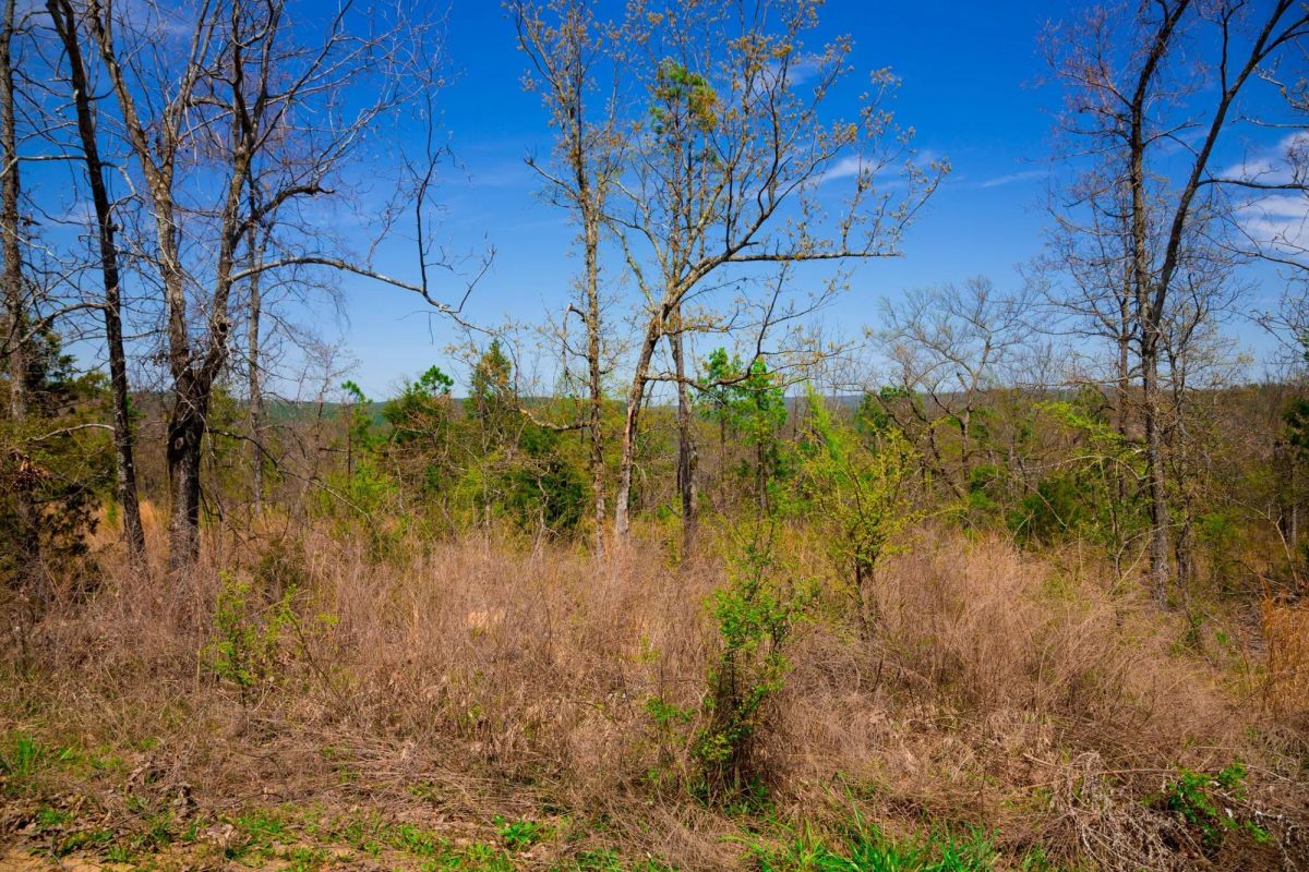 Stone Creek Phase II Tract 234 - Image 4