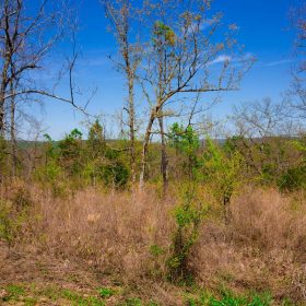 Stone Creek Phase II Tract 234 in Latimer County, OK