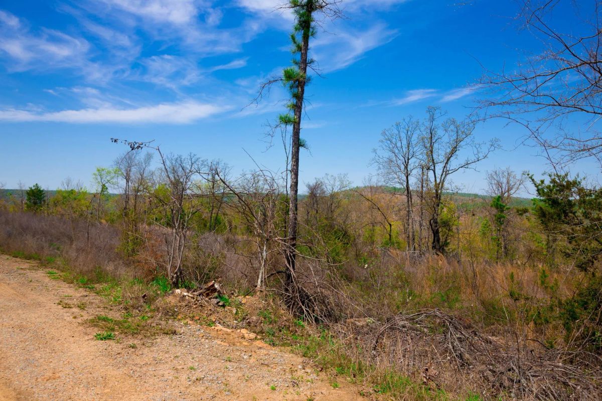 Decorative background for Stone Creek Phase II Tract 234 image 5