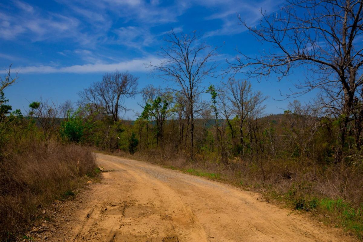 Decorative background for Stone Creek Phase II Tract 234 image 6