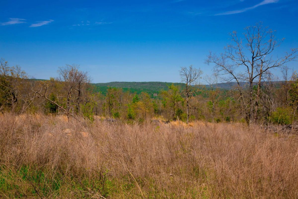 Decorative background for Stone Creek Phase II Tract 234 image 7