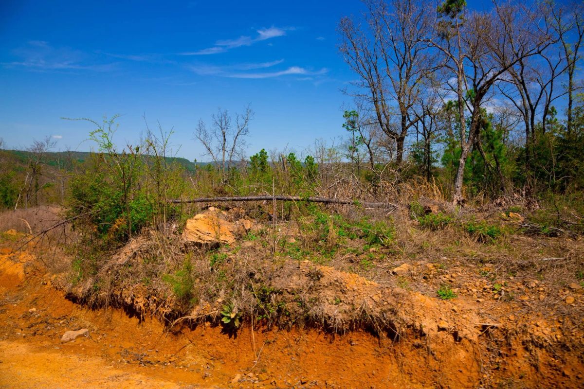 Decorative background for Stone Creek Phase II Tract 234 image 9