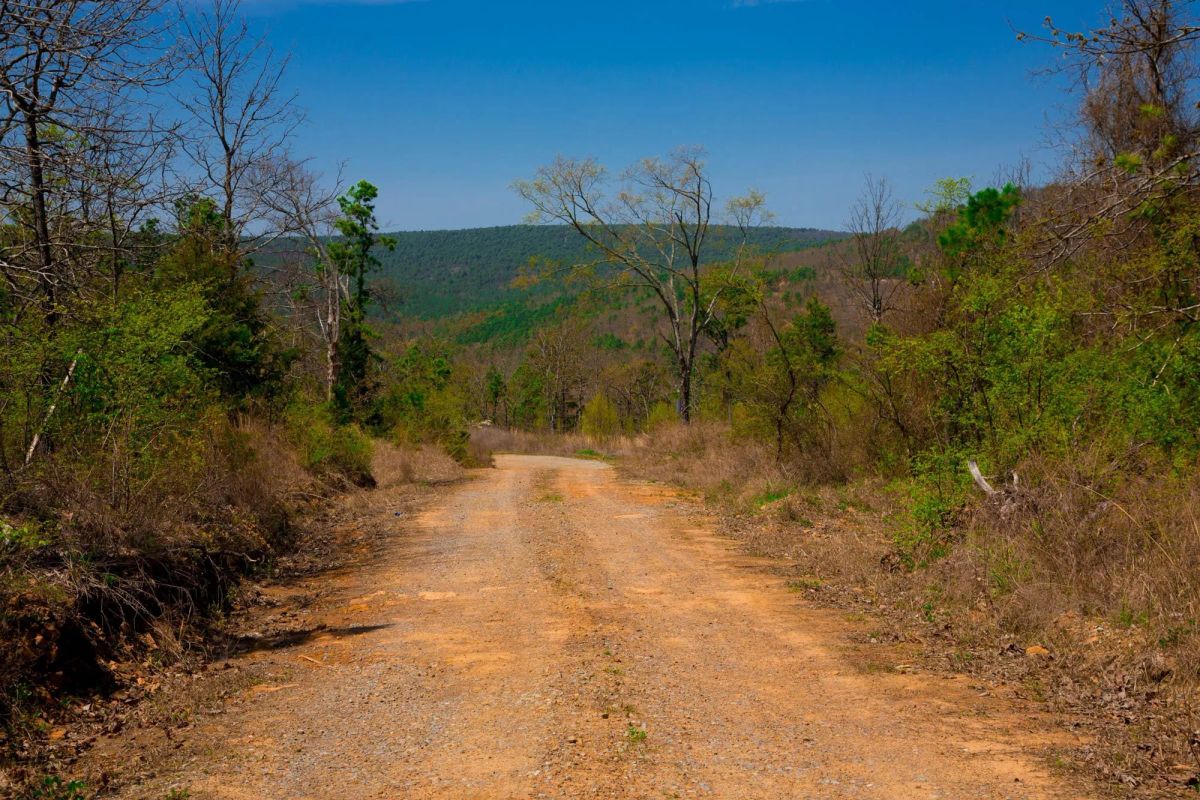 Decorative background for Stone Creek Phase II Tract 234 image 10