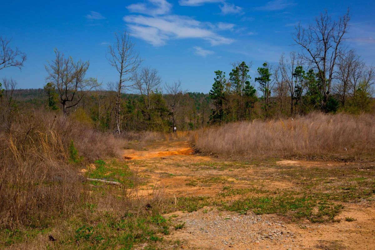 Decorative background for Stone Creek Phase II Tract 234 image 11