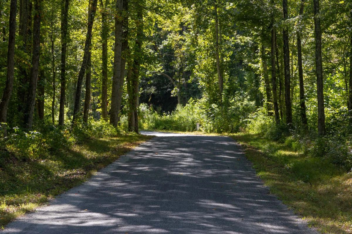 Big White Oak Tract 19 - Main image