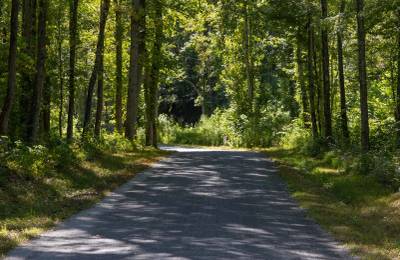 Big White Oak Tract 19