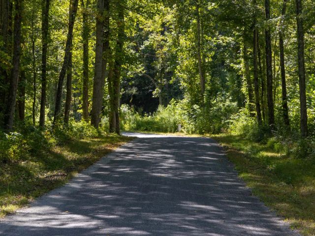Big White Oak Tract 19 in Perry County, TN