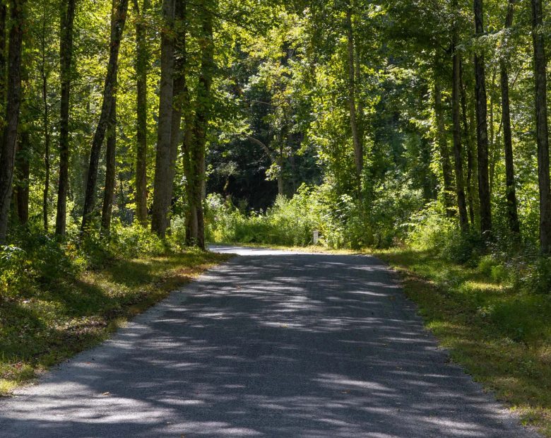 Big White Oak Tract 19 in Perry County, TN