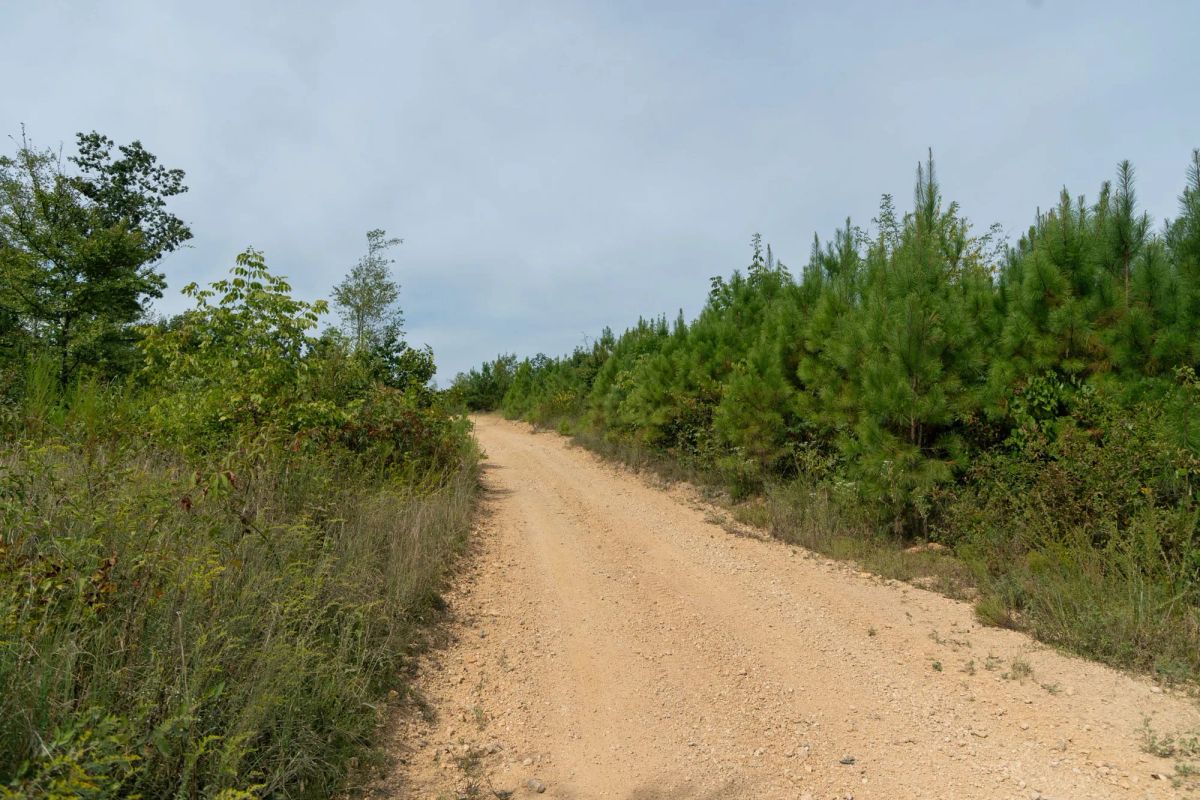 Big White Oak Tract 19 - Image 3