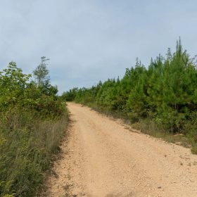 Big White Oak Tract 19 in Perry County, TN