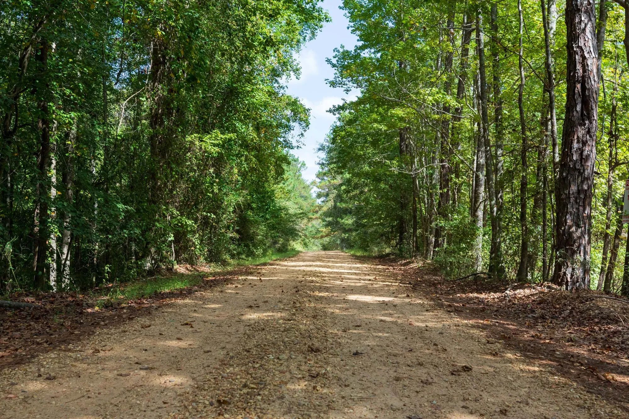 Willow Grove Tract 7
