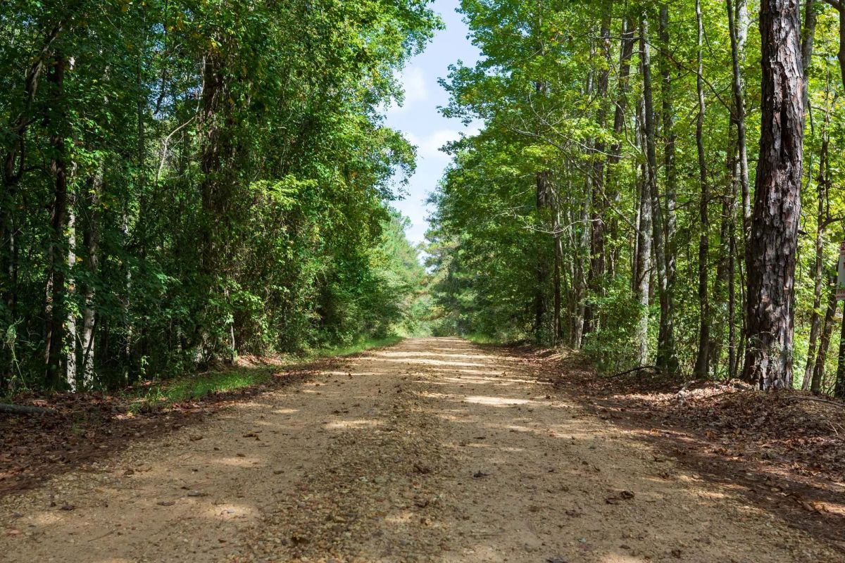 Willow Grove Tract 7 - Main image