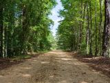 Willow Grove Tract 7