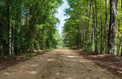 Willow Grove Tract 7