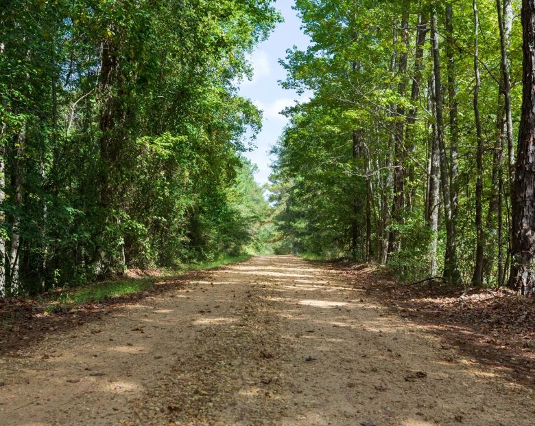 Willow Grove Tract 7 in Lamar County, AL