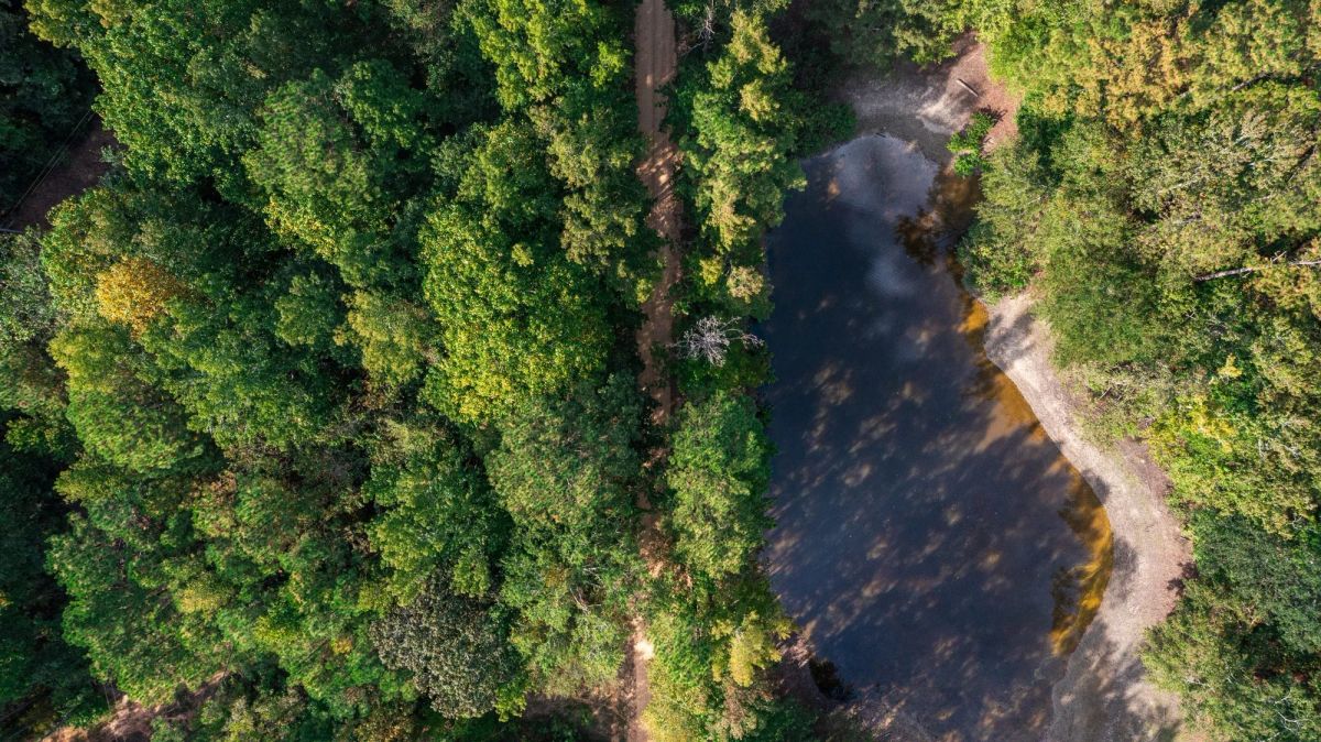 Willow Grove Tract 7 - Image 2