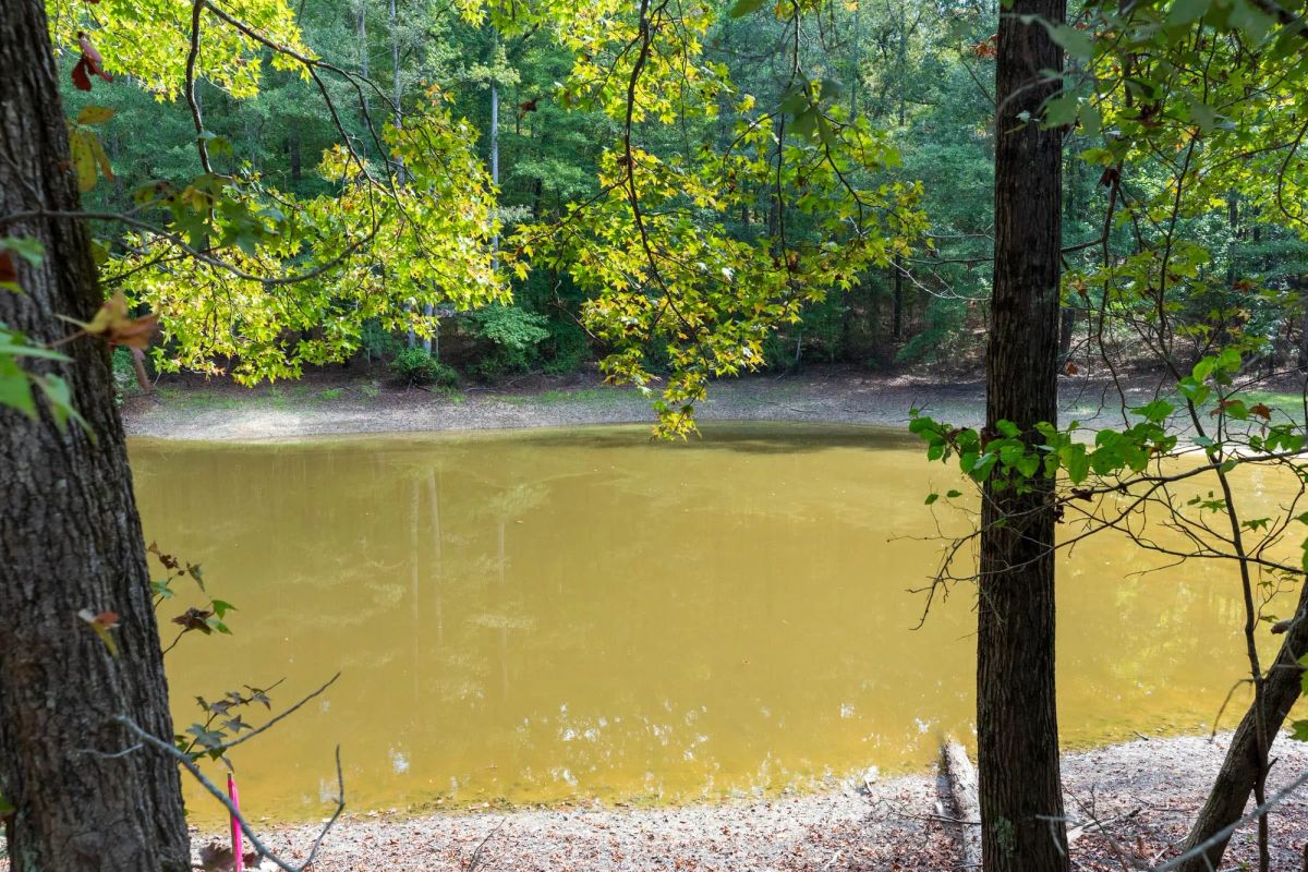 Willow Grove Tract 7 - Image 3