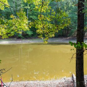 Willow Grove Tract 7 in Lamar County, AL