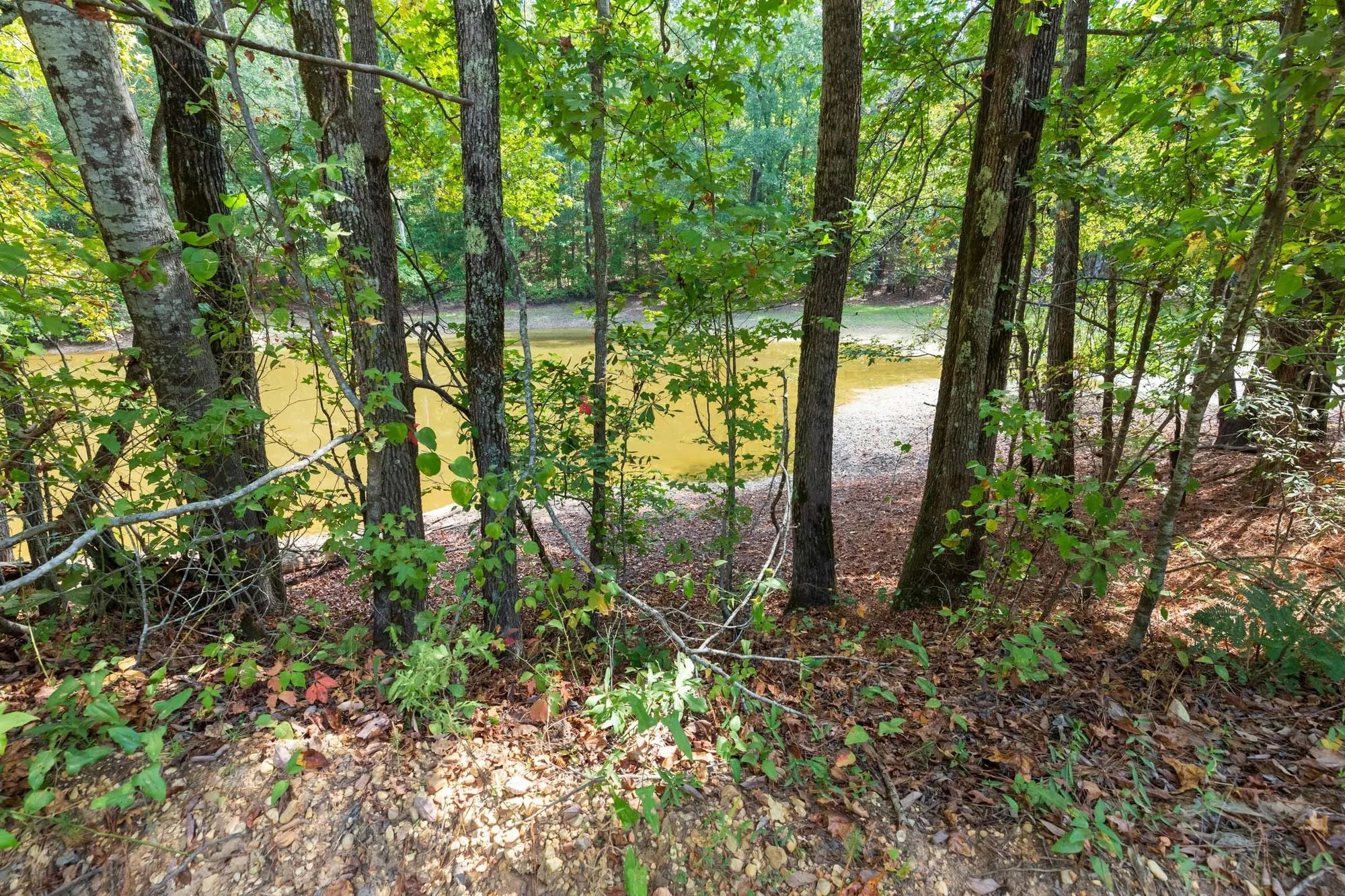 Willow Grove Tract 7 in Lamar County, AL