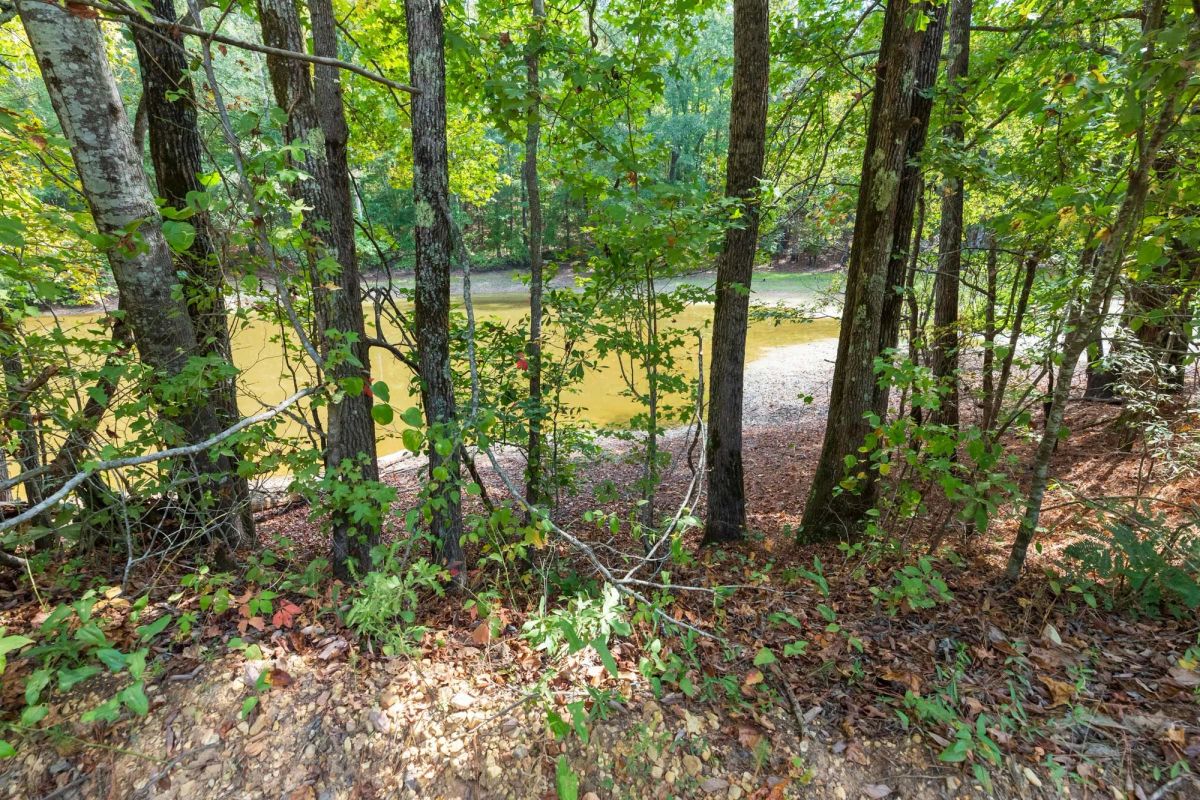 Willow Grove Tract 7 - Image 4