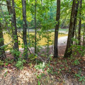 Willow Grove Tract 7 in Lamar County, AL