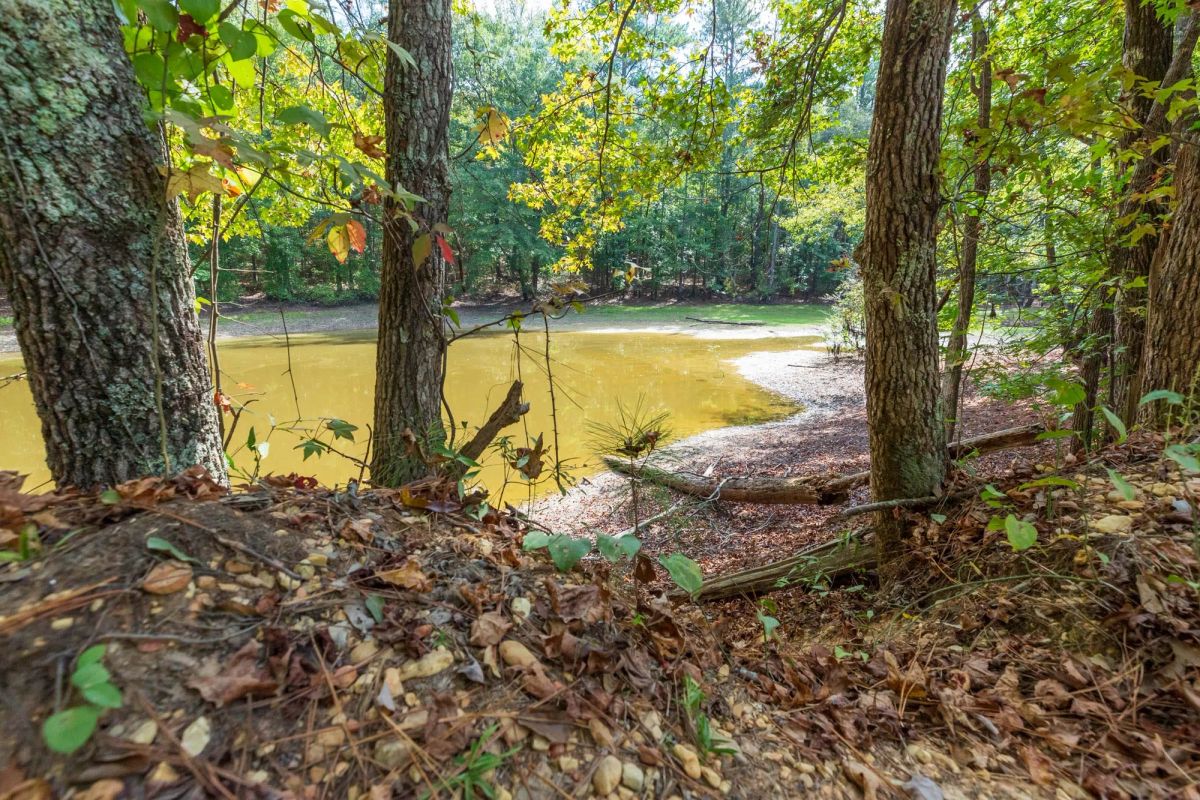 Decorative background for Willow Grove Tract 7 image 5