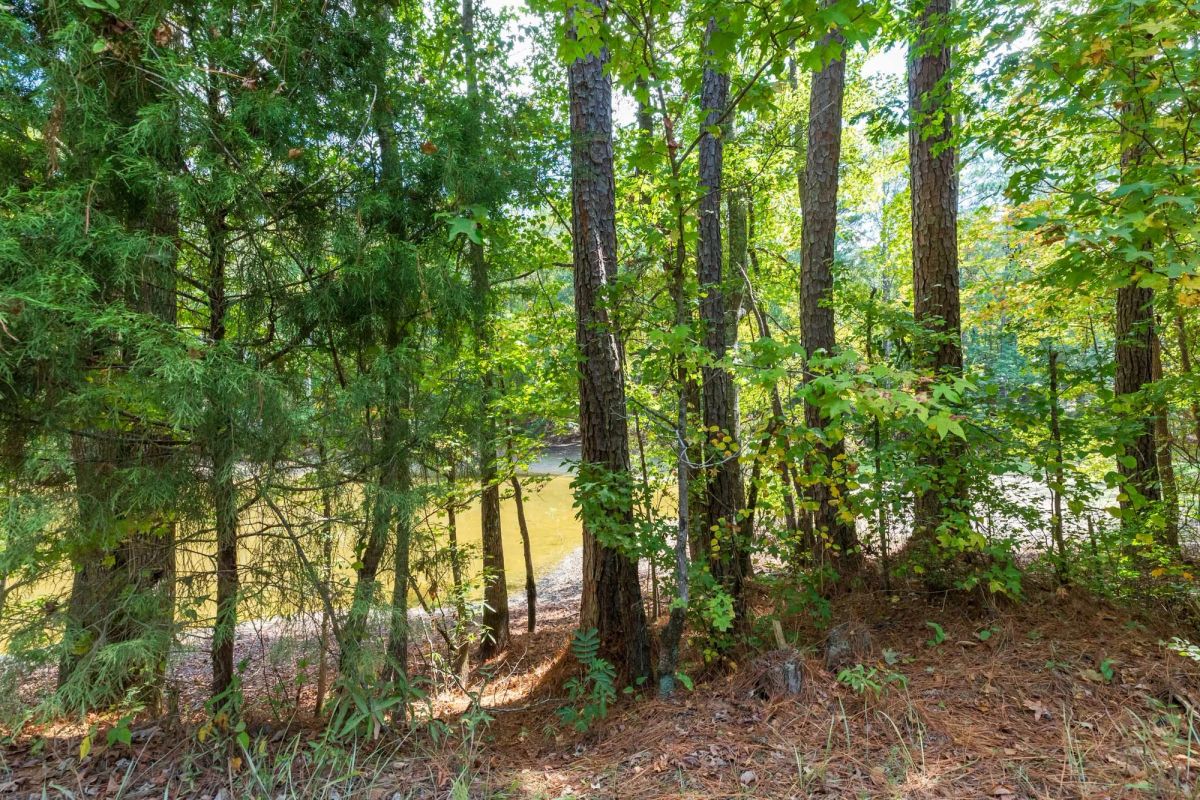 Decorative background for Willow Grove Tract 7 image 6