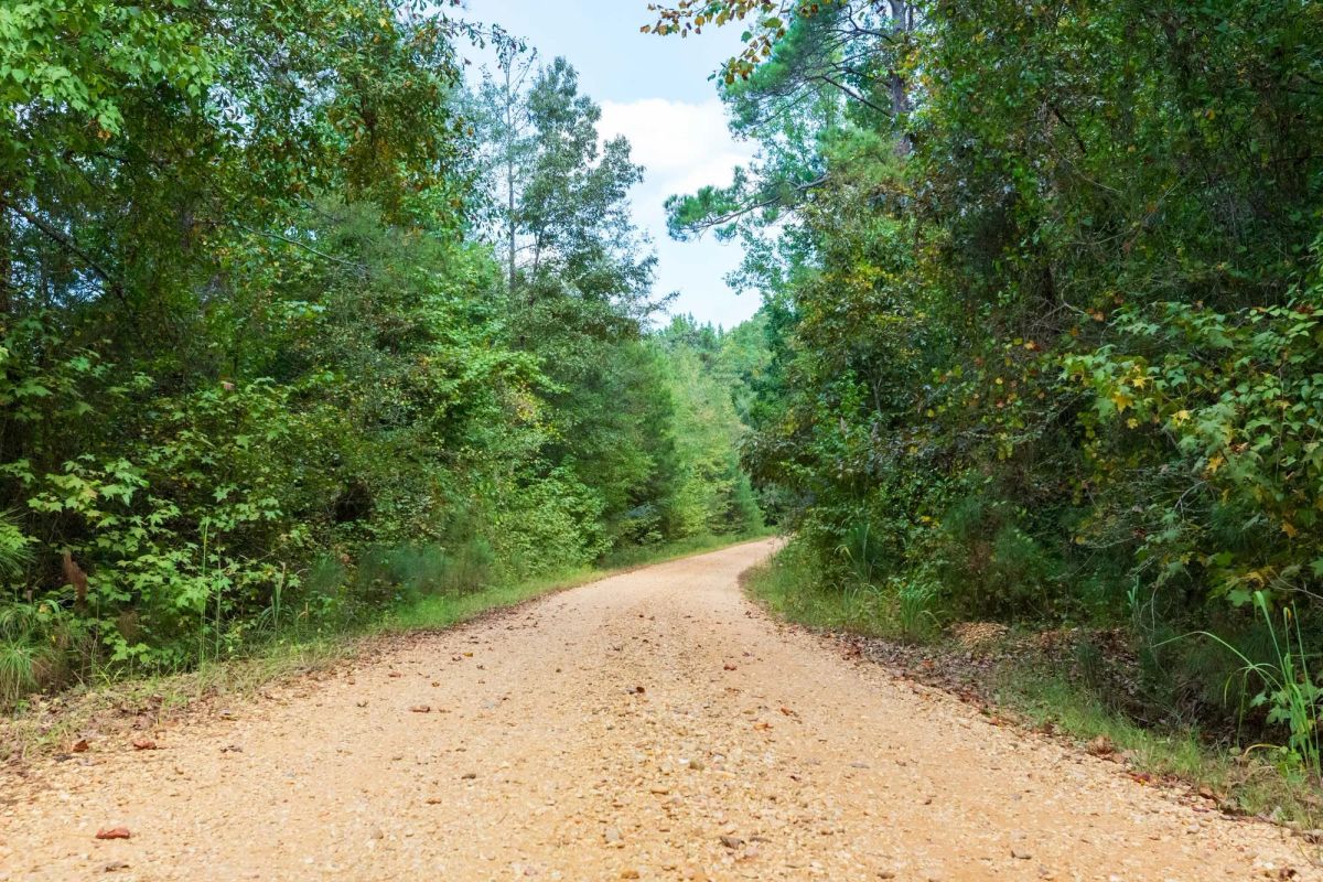Decorative background for Willow Grove Tract 7 image 8