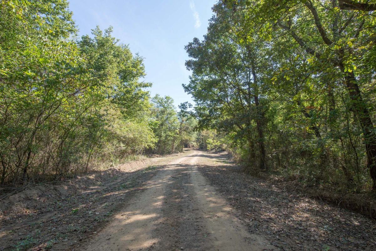 Stone Bridge Phase I Tract 28 - Main image