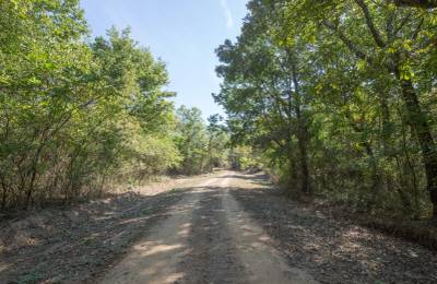 Stone Bridge Phase I Tract 28