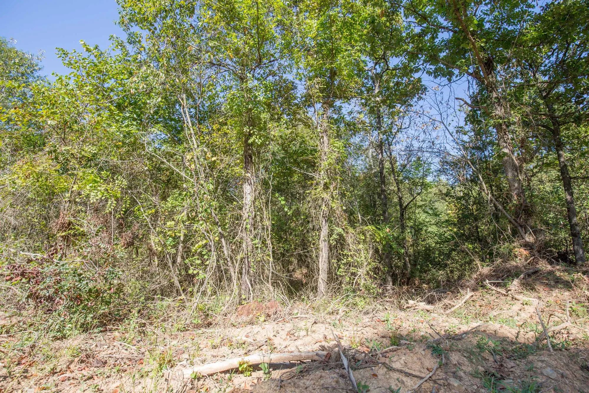 Stone Bridge Phase I Tract 28 in Latimer County, OK