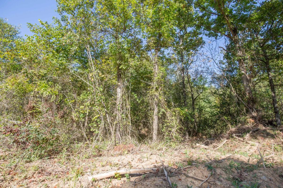 Stone Bridge Phase I Tract 28 - Image 3