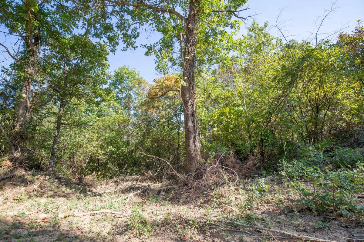Stone Bridge Phase I Tract 28 - Image 4