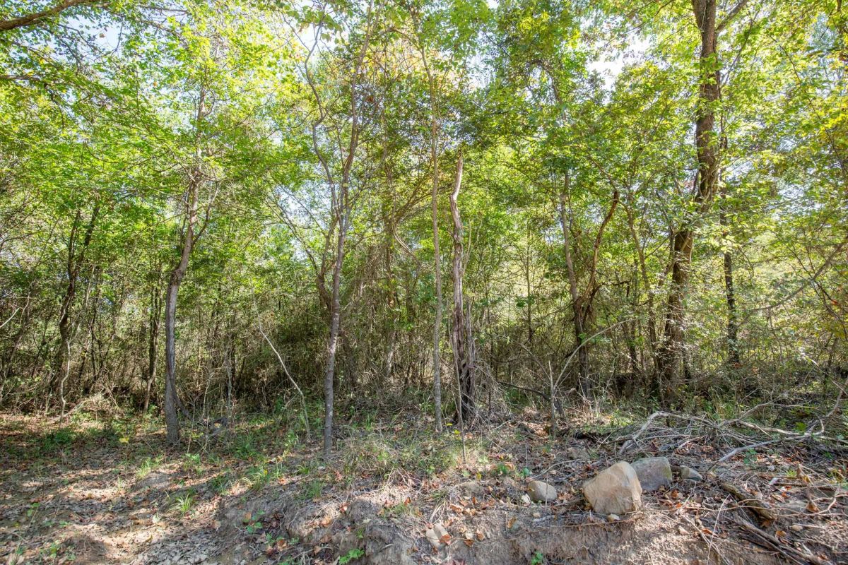Decorative background for Stone Bridge Phase I Tract 28 image 6