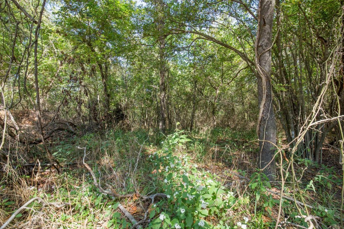 Decorative background for Stone Bridge Phase I Tract 28 image 8