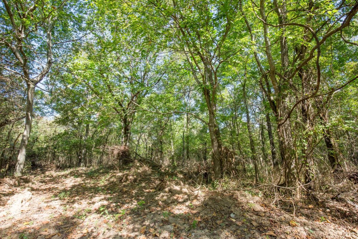Decorative background for Stone Bridge Phase I Tract 28 image 9