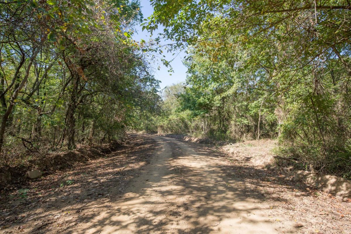 Decorative background for Stone Bridge Phase I Tract 28 image 10