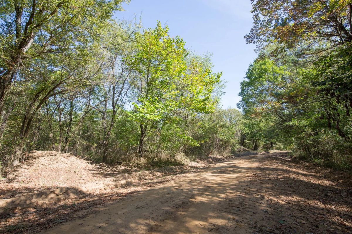 Decorative background for Stone Bridge Phase I Tract 28 image 11