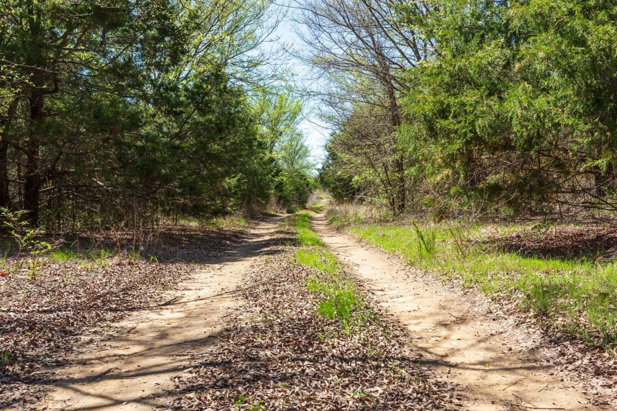 Prairie Grove Tract 12 - Main image
