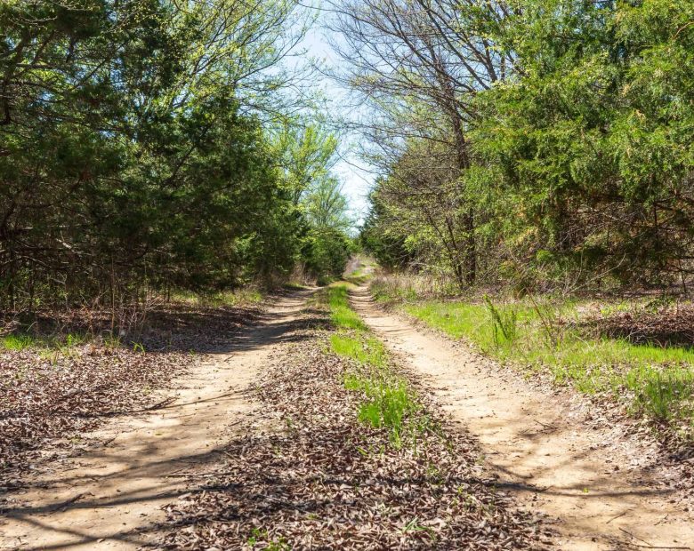 Prairie Grove Tract 12 in Okfuskee County, OK