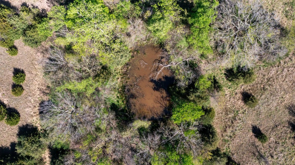 Prairie Grove Tract 12 - Image 2
