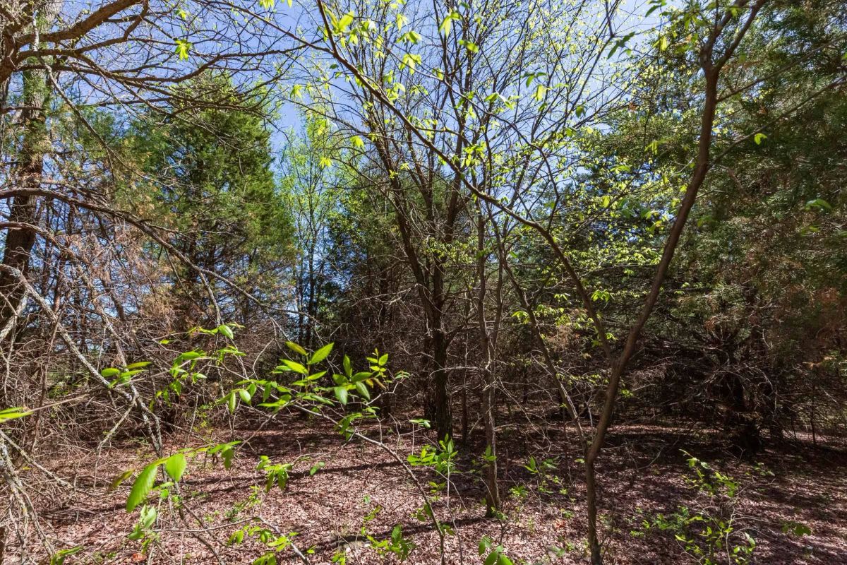 Decorative background for Prairie Grove Tract 12 image 5